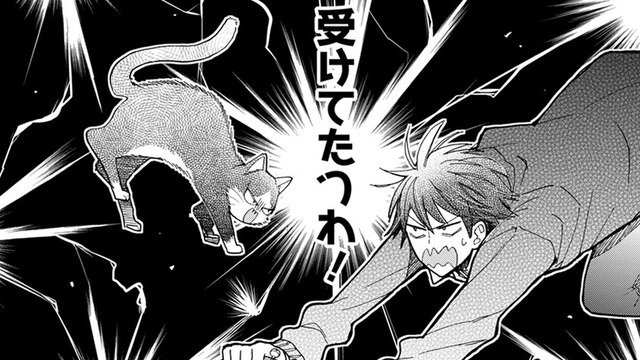 【猫視点】また人間が倒れていたけど、今日はいつになく真剣な顔！これは… 勝負ね!!【同居人はひざ、時々、頭のうえ。 #61】