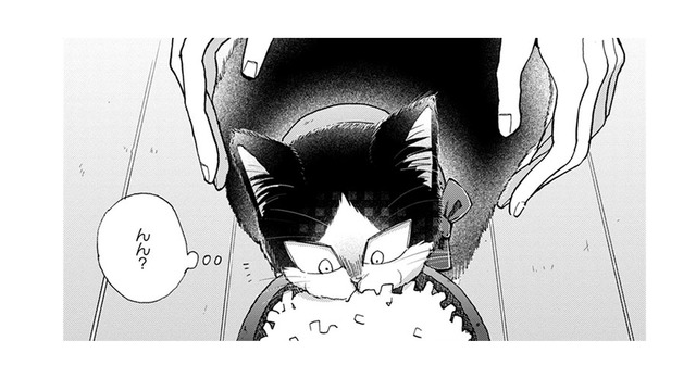 【猫視点】人間が首に何かつけてきた。なんだかやな感じ。だけど安心もする… まあいいか♪【同居人はひざ、時々、頭のうえ。 #62】