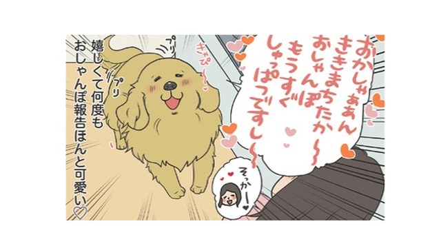 「お散歩行こうか」の声に大興奮…うれしくて何度も報告する愛犬の姿がかわいい【おさんぽですし！　おしゃべり犬とイライラ猫の日記 #17】