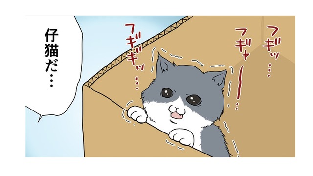 ダンボール箱の中で必死に鳴いてる仔猫を発見…こんな小さいのに誰が捨てたの？【おさんぽですし！　おしゃべり犬とイライラ猫の日記 #18】