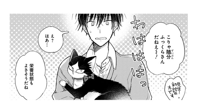 猫を病院で検査したら、太り気味と言われた！おやつなんてあげてないのになぜ…？【同居人はひざ、時々、頭のうえ。 #65】