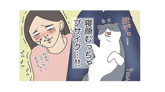 ツンデレだった愛猫が膝に乗ってくれるようになった寝顔むっちゃブサイクでたまらん【おさんぽですし！　おしゃべり犬とイライラ猫の日記 #20】
