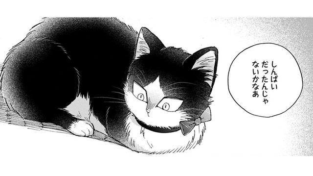 【猫視点】ぐったりしてると犬が話しかけてきた。あの子が私の事を心配してる？家族って何？【同居人はひざ、時々、頭のうえ。 #71】