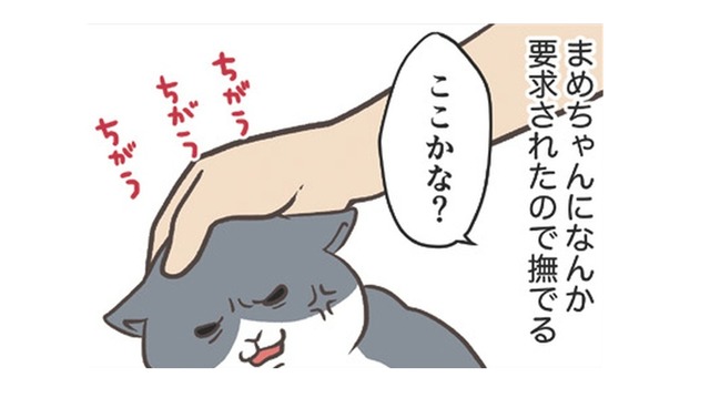 愛猫にねだられ、なでなでタイム。まさか「肉球」を触って欲しいなんてことあるんだ…【おさんぽですし！　おしゃべり犬とイライラ猫の日記 #22】