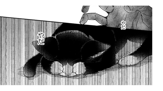 【猫視点】箱に入れられて知らない場所に置き去りに… あの子はそんな事はしない… よね？【同居人はひざ、時々、頭のうえ。 #73】