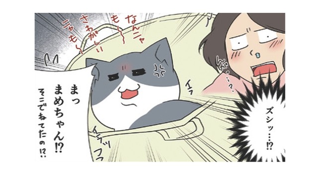 お気に入りの場所から絶対に動きたくない愛猫。漬物石より重たくなるのはなぜ？【おさんぽですし！　おしゃべり犬とイライラ猫の日記 #23】