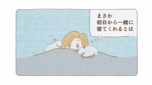 「いてくれるだけでいい」迷い猫たちと一緒に眠った夜から、家族がはじまった【夜が明けるとき猫がそばにいれば #８】