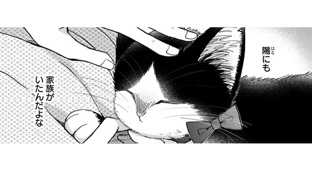 「家族」は顔やしぐさが似てくるって言われ、父と母の事を思い出す。 猫にもいたのかな…【同居人はひざ、時々、頭のうえ。 #77】