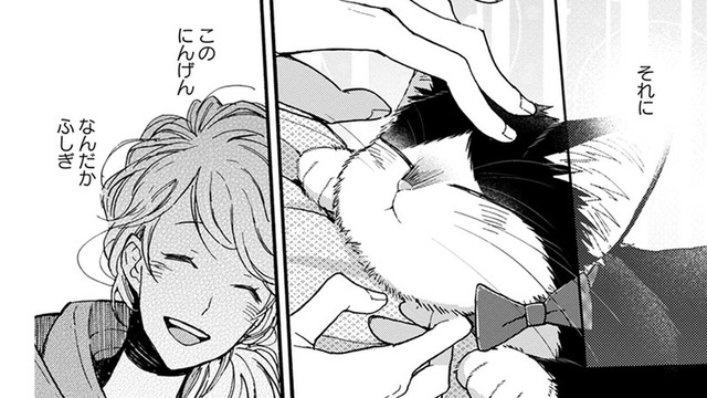 【猫視点】今日の人間はなかなかやるわねっ！ でも、なんでかしら？懐かしい気持ちになる…【同居人はひざ、時々、頭のうえ。 #81】