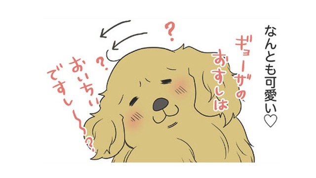 話しかけると一生懸命、聞いてくれる愛犬の仕草が可愛い 一方、愛猫の反応は…?!【おさんぽですし！　おしゃべり犬とイライラ猫の日記 #28】