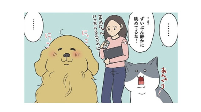 カラスの巣作りの季節到来。静かに様子を眺める猫と犬…実はビビってただけ？【おさんぽですし！　おしゃべり犬とイライラ猫の日記 #29】