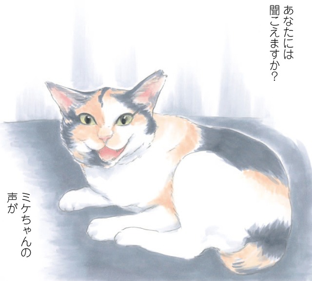 「もしもミケちゃんがおしゃべりできたなら…」優しい気持ちになれる、猫と飼い主の心温まる物語【ミケちゃんとやすらぎさん #１】