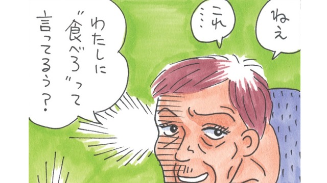嫁姑問題は、ささいなことの積み重ね！積もり積もって、怒りに火がつく！【アラカン主婦の毒吐き日記～貞子バーバはめんどくさい～ #16】