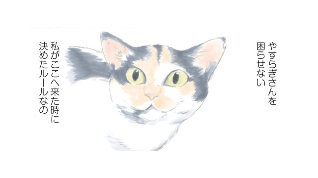 「やすらぎさんを困らせない」ことがミケちゃんのルール！ 飼い主を気遣う猫が健気で愛らしい【ミケちゃんとやすらぎさん #５】