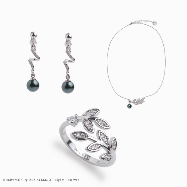 スペシャルオーダーシルバーセット（Silver925/受注生産）