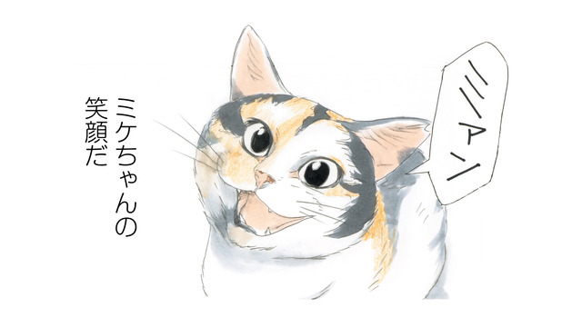 「おはよう」笑顔でお出迎えしてくれる看板猫のミケちゃん。今日も穏やかな１日が始まる【続 ミケちゃんとやすらぎさん #１】