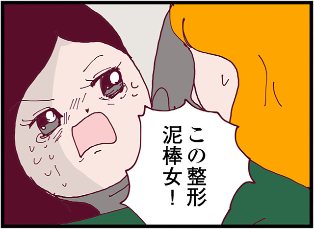 夫の浮気を巡ってママ友同士のケンカ勃発！ 止めに入ろうとすると、別のママ友が衝撃のカミングアウト【整形主婦　サレ妻の逆襲 #５】