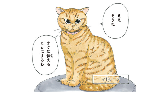 老犬の柴犬に嫁いできたという不思議な猫。気品溢れる「マドレーヌ夫人」とは？【かのこちゃんとマドレーヌ夫人 #１】