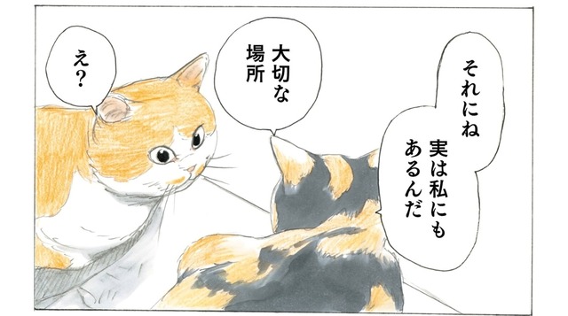 「もう寒い季節は終わったよ」という知らせが…咲き誇る桜を見て２匹の猫が感じたことは？【続 ミケちゃんとやすらぎさん #５】