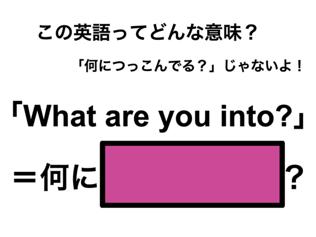 この英語ってどんな意味？「What are you into?」