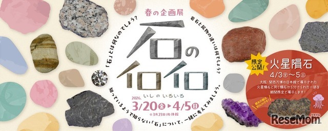 春の企画展「石のイロイロ」