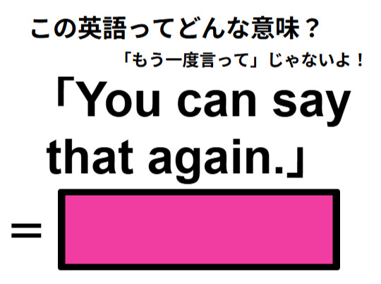 この英語ってどんな意味？「You can say that again.」