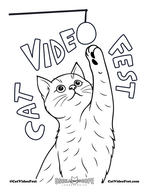 『CatVideoFest』