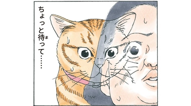 いつの間にかしっぽが２本に…動揺していたら人間にぶつかり、猫と人が入れ替わる!?【かのこちゃんとマドレーヌ夫人 #９】