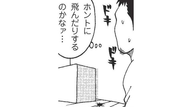 寒い北海道ではほとんど見かけない「あの虫」。上京して初めて遭遇したときの意外な第一印象は？【北のダンナと西のヨメ #５】