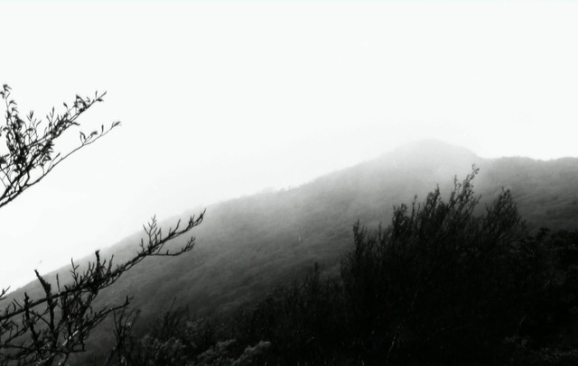 『悲しくて美しい世界／THIS IS SPARKLEHORSE』