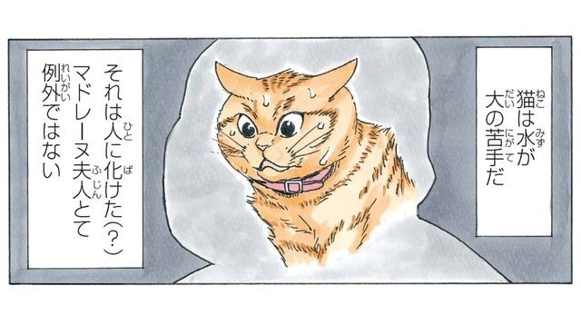 人に化けた「マドレーヌ夫人」猫は水が大の苦手というけど…水嫌いを克服できるのか!?【かのこちゃんとマドレーヌ夫人 #10】