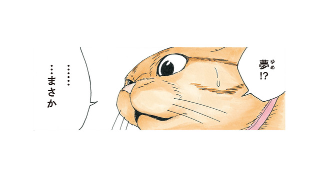 リアルすぎて夢と現実の区別がつかない！「夢のはずない」と語る犬が見た夢とは？【かのこちゃんとマドレーヌ夫人 #11】