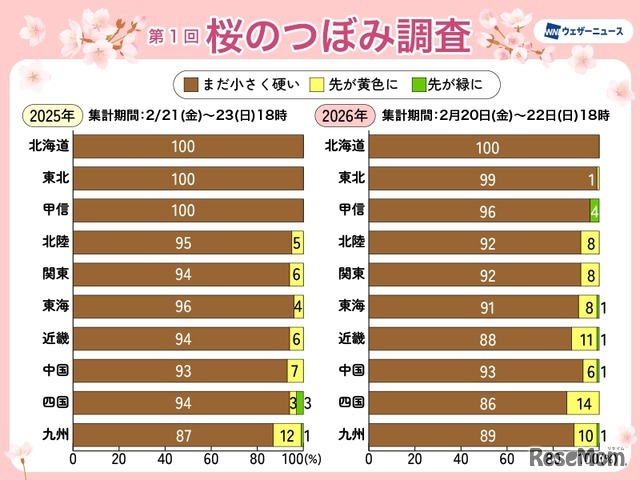 桜のつぼみ調査