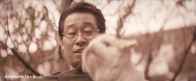 『犬も歩けば』