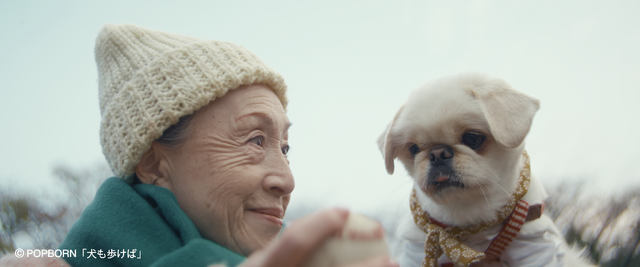 『犬も歩けば』