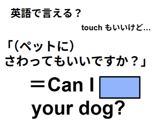 英語で「ペットに触ってもいいですか？」は何て言う？