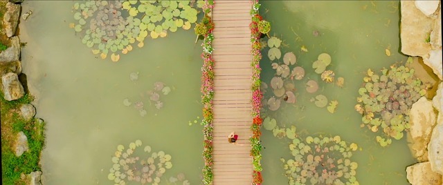 『タトゥーウィッチと呼ばれて』