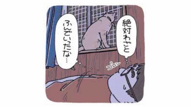 「絶対わざと踏んだよね？」猫のわかりやすい行動に隠れた理由【猫がおしりを向けてきます #５】