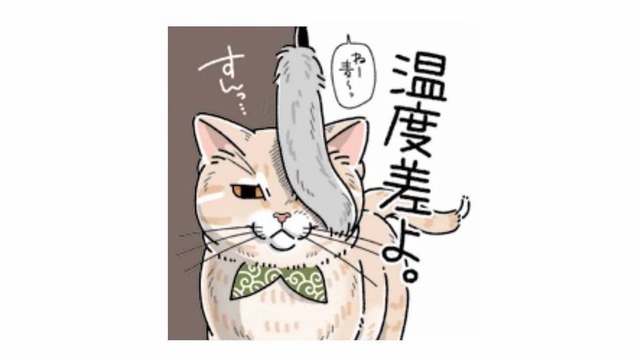 「すんっ…」遊びたい飼い主を華麗にスルーする猫の反応【猫がおしりを向けてきます #６】