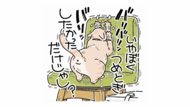 「爪とぎしただけだし？」やらかしをごまかす猫が可愛すぎる【猫がおしりを向けてきます #７】