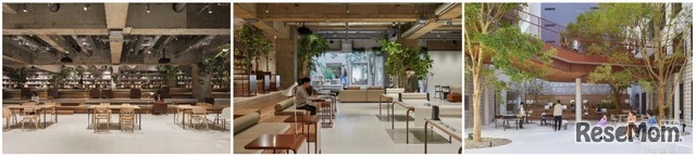 会場「THE CAMPUS」