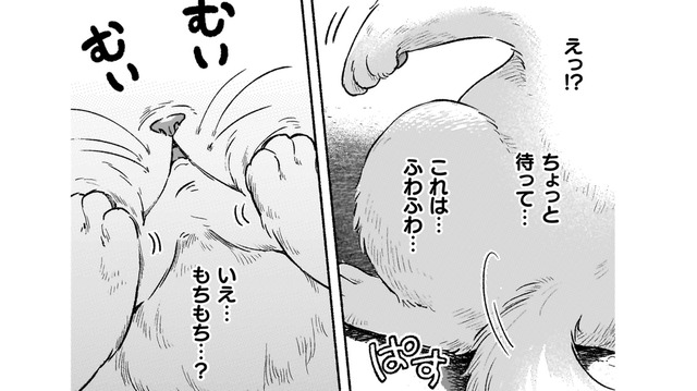 「このまま死んじゃうの？」そう思った次の瞬間…私の体、いつもと違う!?【根暗騎士による溺愛満喫中のブサ猫、実は聖女です！#18】