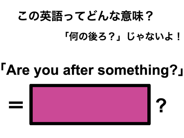 この英語ってどんな意味？「Are you after something?」