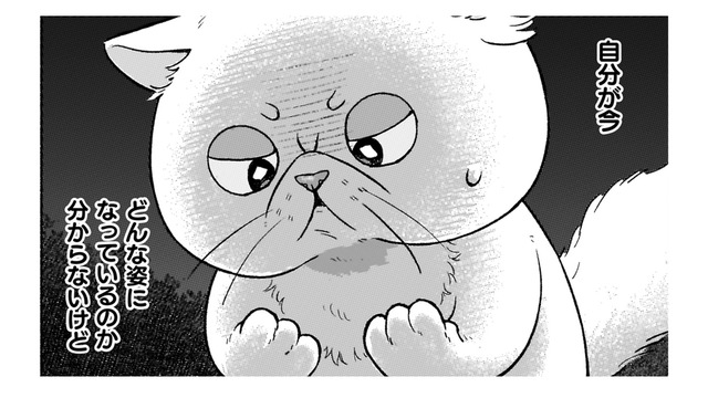 魔術師が作った液体をかけられたら、猫になっちゃった！早く神殿に帰りたい！【根暗騎士による溺愛満喫中のブサ猫、実は聖女です！#19】