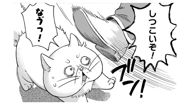 「ぶっさいくな猫だなぁ」神殿に入りたいのに、門番に冷たく追い払われる！【根暗騎士による溺愛満喫中のブサ猫、実は聖女です！#20】