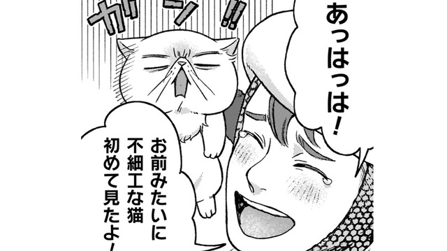 こっそり神殿の中に入ろうとしたら、邪魔されたうえ、街に戻る馬車に乗せられて!?【根暗騎士による溺愛満喫中のブサ猫、実は聖女です！#21】