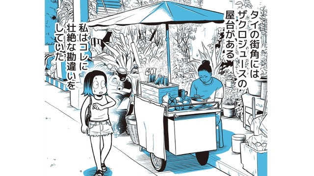 これまでの勘違いを反省…タイの街角で見かけるザクロジュース。えっ、まさか一粒ずつ人力で!?【タイのひとびと #４】