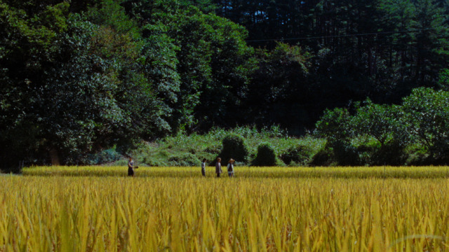 『Riceboy ライスボーイ』© 2022 Riceboy Sleeps Production Inc.