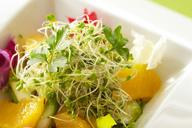 がん予防の権威である医師開発の野菜って！？ビタミンCよりも抗酸化力が長時間続き、老化予防にも最適で「しかもワンコイン以下」スーパーフードとは