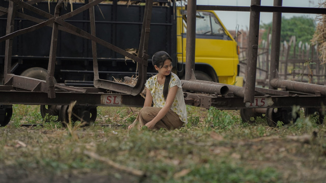 『サトウキビは知っている』© 2025 MD Pictures